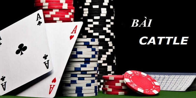 Bài cách tê - Hướng dẫn cách chơi hay - COKIRA Bài cách tê - Hướng dẫn cách chơi hay - COKIRA
