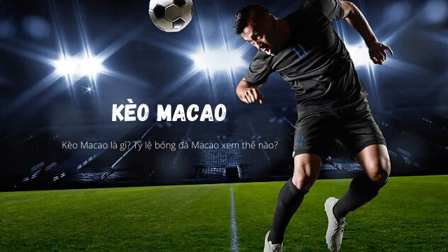 Giải mã sức hút Kèo macau - Bí ẩn từ sòng bài Châu Á - COKIRA Giải mã sức hút Kèo macau - Bí ẩn từ sòng bài Châu Á - COKIRA