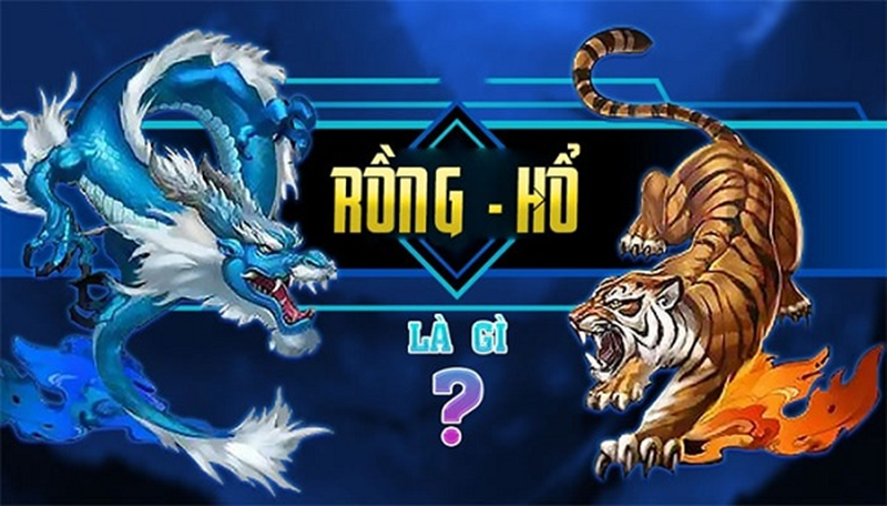 Rồng Hổ K8CC - Kinh Nghiệm Chinh Phục Đỉnh Cao - COKIRA Rồng Hổ K8CC - Kinh Nghiệm Chinh Phục Đỉnh Cao - COKIRA