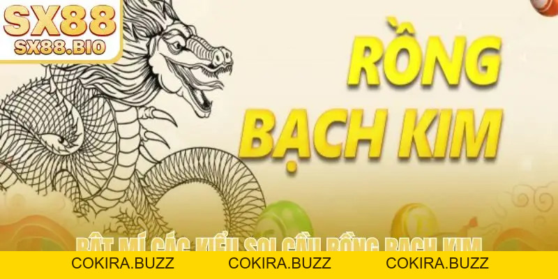 Soi Cầu Rồng Bạch Kim - Công Cụ Phân Tích Lô Đề Hàng Đầu - COKIRA