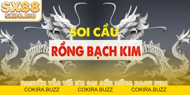 Soi Cầu Rồng Bạch Kim - Công Cụ Phân Tích Lô Đề Hàng Đầu - COKIRA